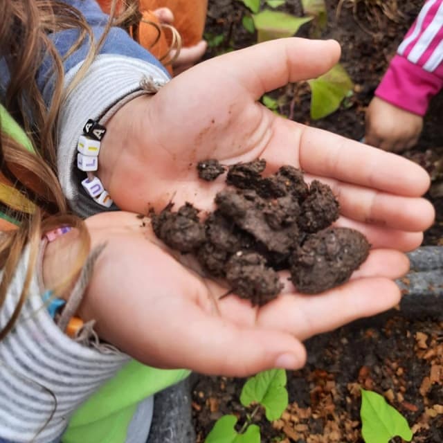 Projeto de Educação Ambiental em Escolas